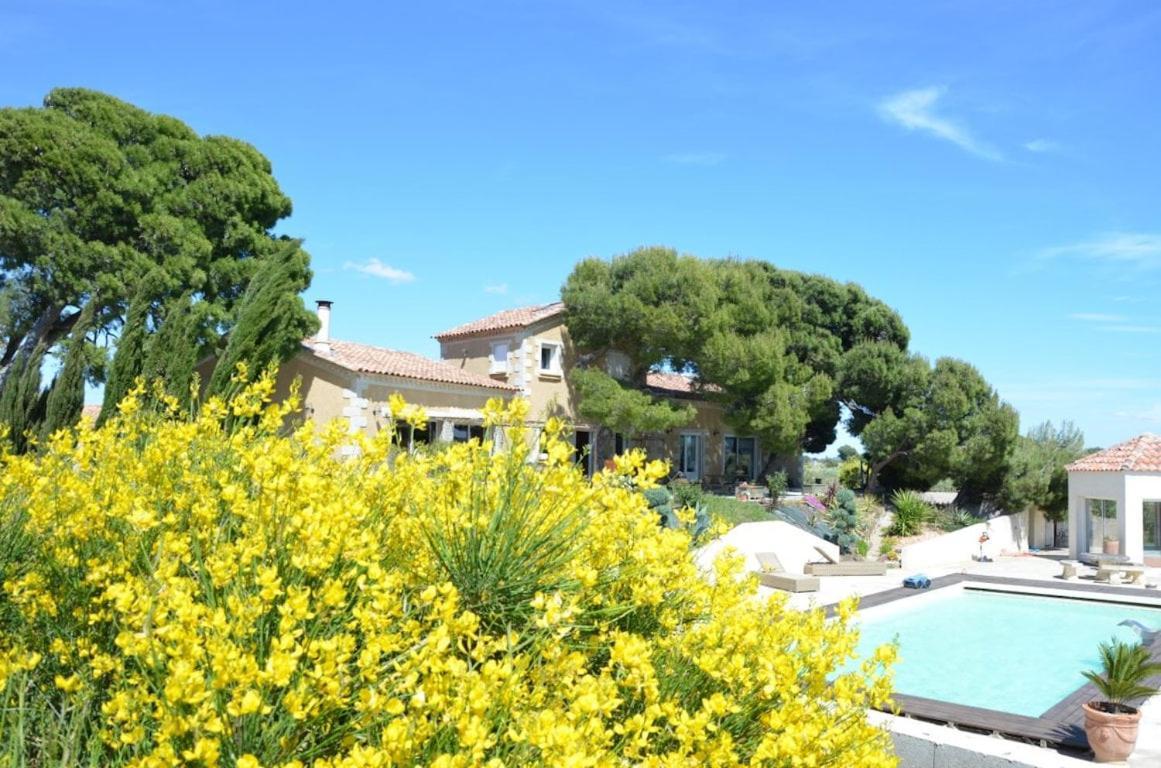 Domaine O Lingot D'oc *